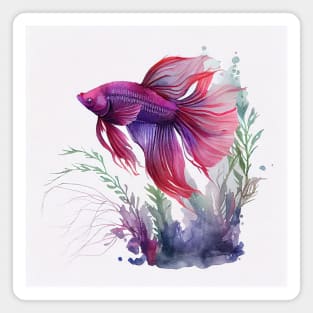 Purple and Red Betta Fish Watercolor Magnet